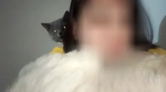 Feline, 35
